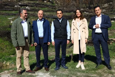 COCA COLA 3E: Flagship project for the regeneration of the forest